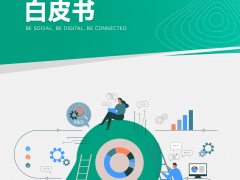 2024超越边界新形势下中国品牌全球化营销白皮书-OneSight