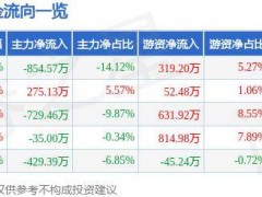 股票行情快报：宝新能源（000690）7月29日主力资金净卖出854.57万元