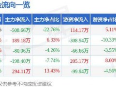 股票行情快报：国新能源（600617）7月29日主力资金净卖出508.66万元